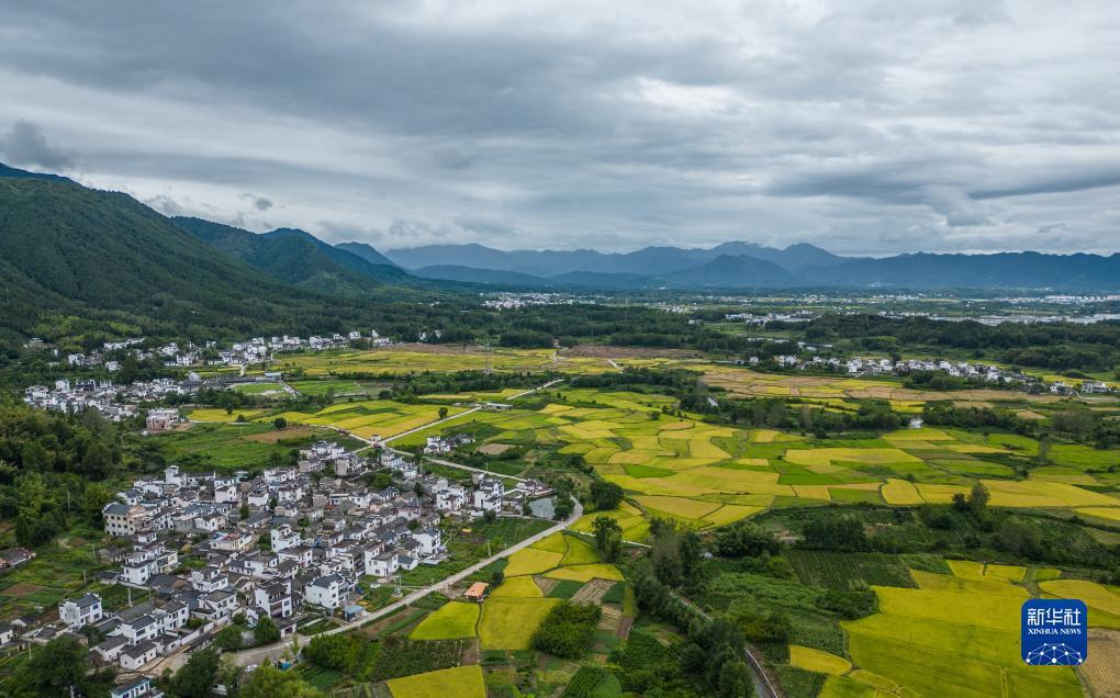 华体会体育最新官方入口